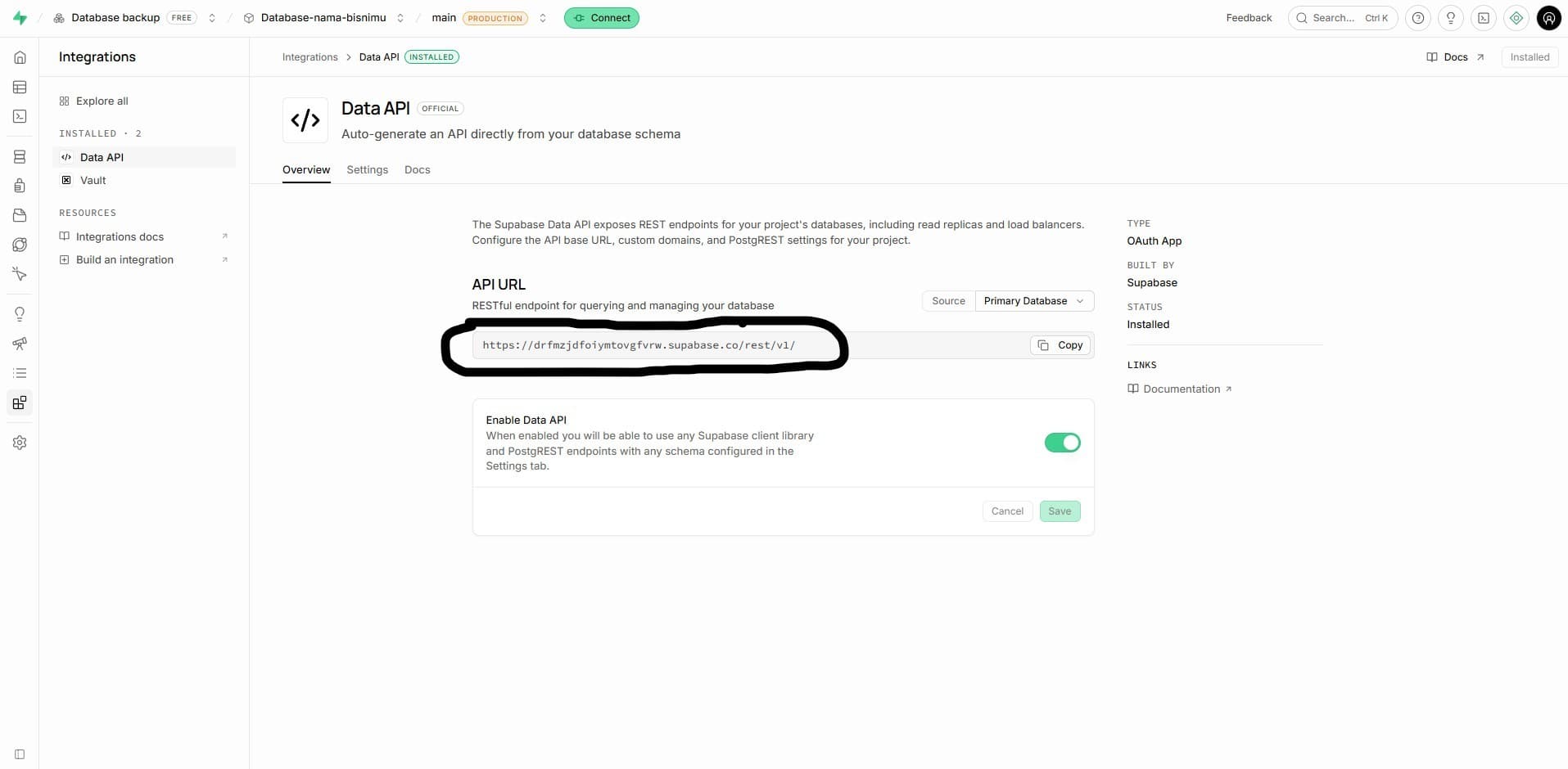 Halaman Data API menampilkan Project Reference